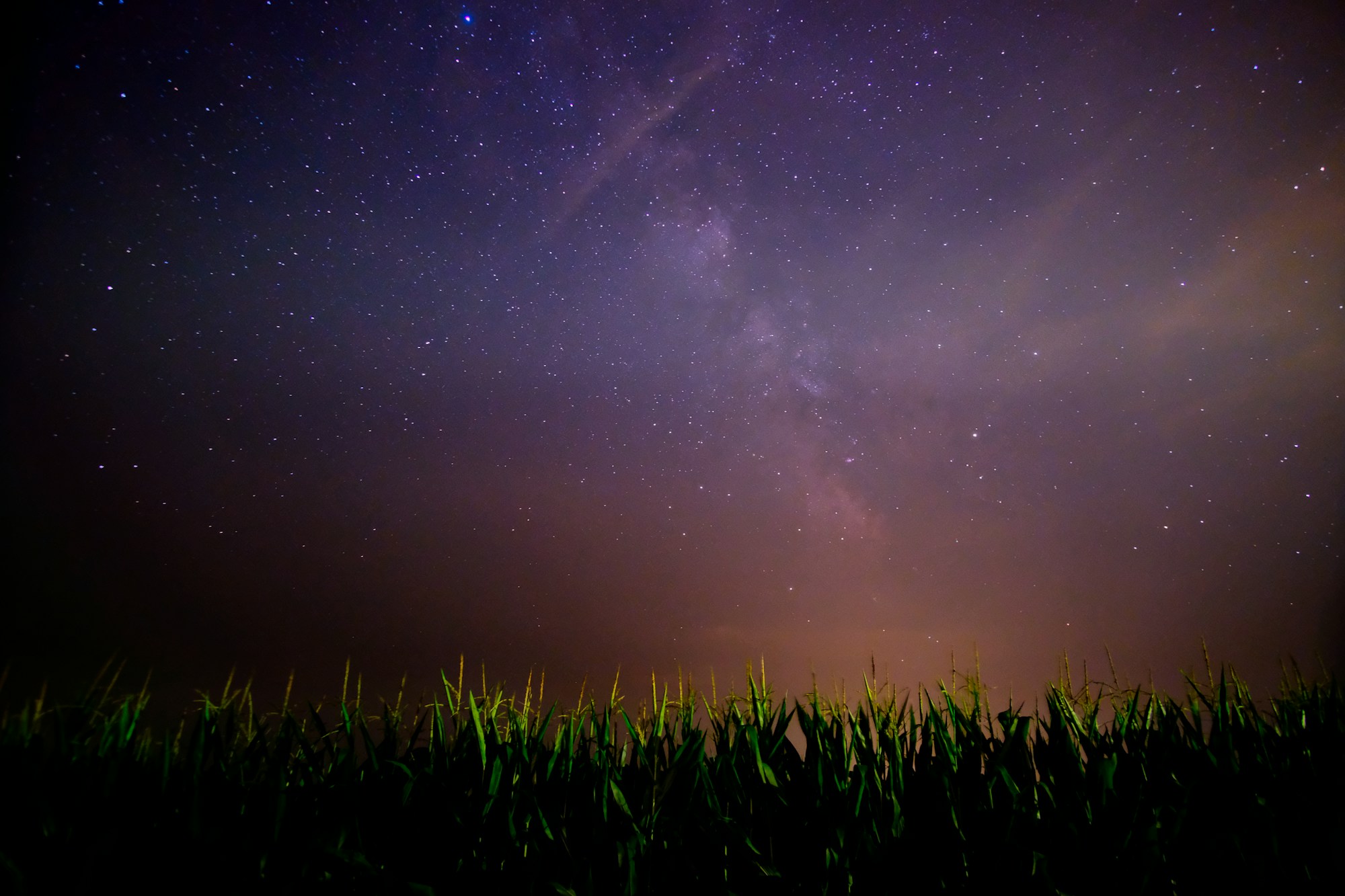 Texas night sky filled with stars